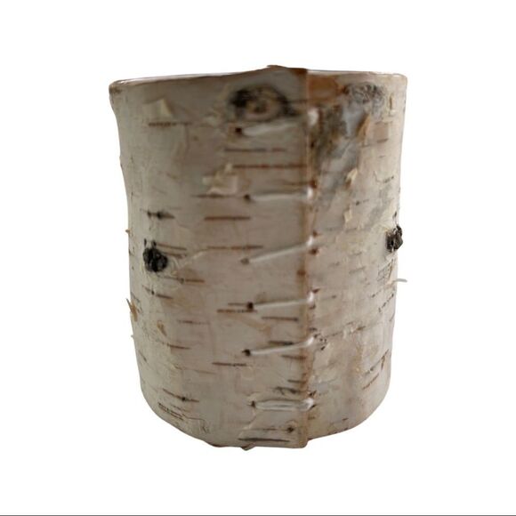 Zodax Birchwood Fragrance Free Candle • NWT - Picture 2 of 5